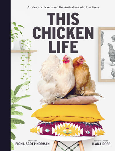 This-Chicken-Life.jpg