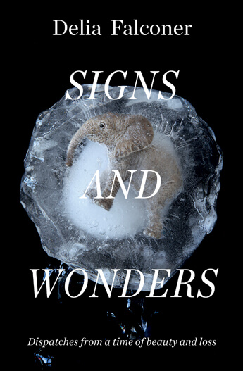 Signs-and-Wonders.jpg
