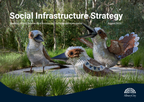 Social Infrastructure Strategy
